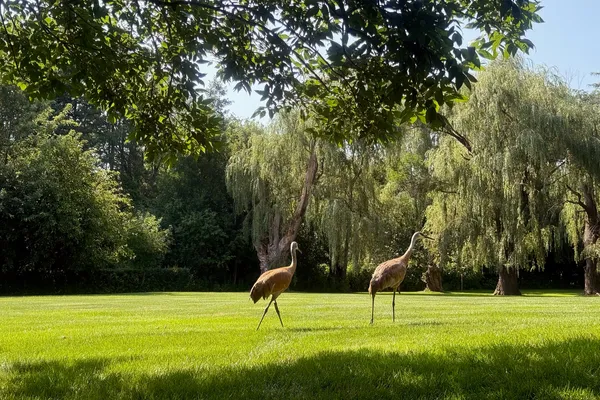a view of a park