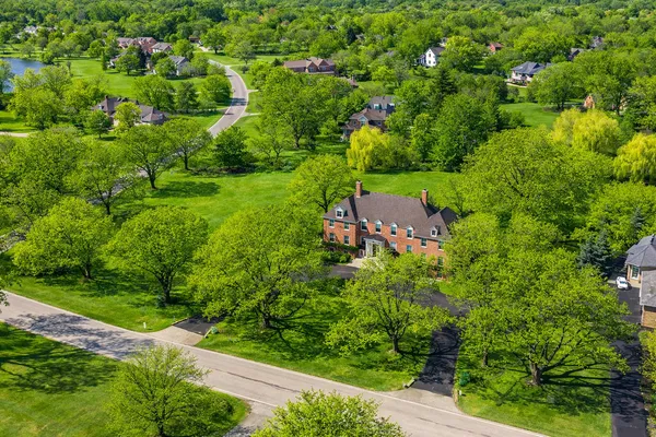 a view of a yard with plants and large trees