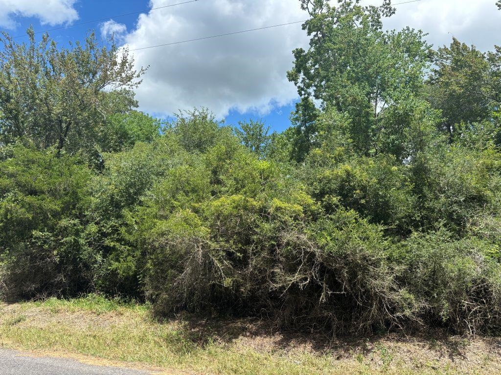 0 J J Jardell Road Vinton, LA 70668 - Photo 3 of 3