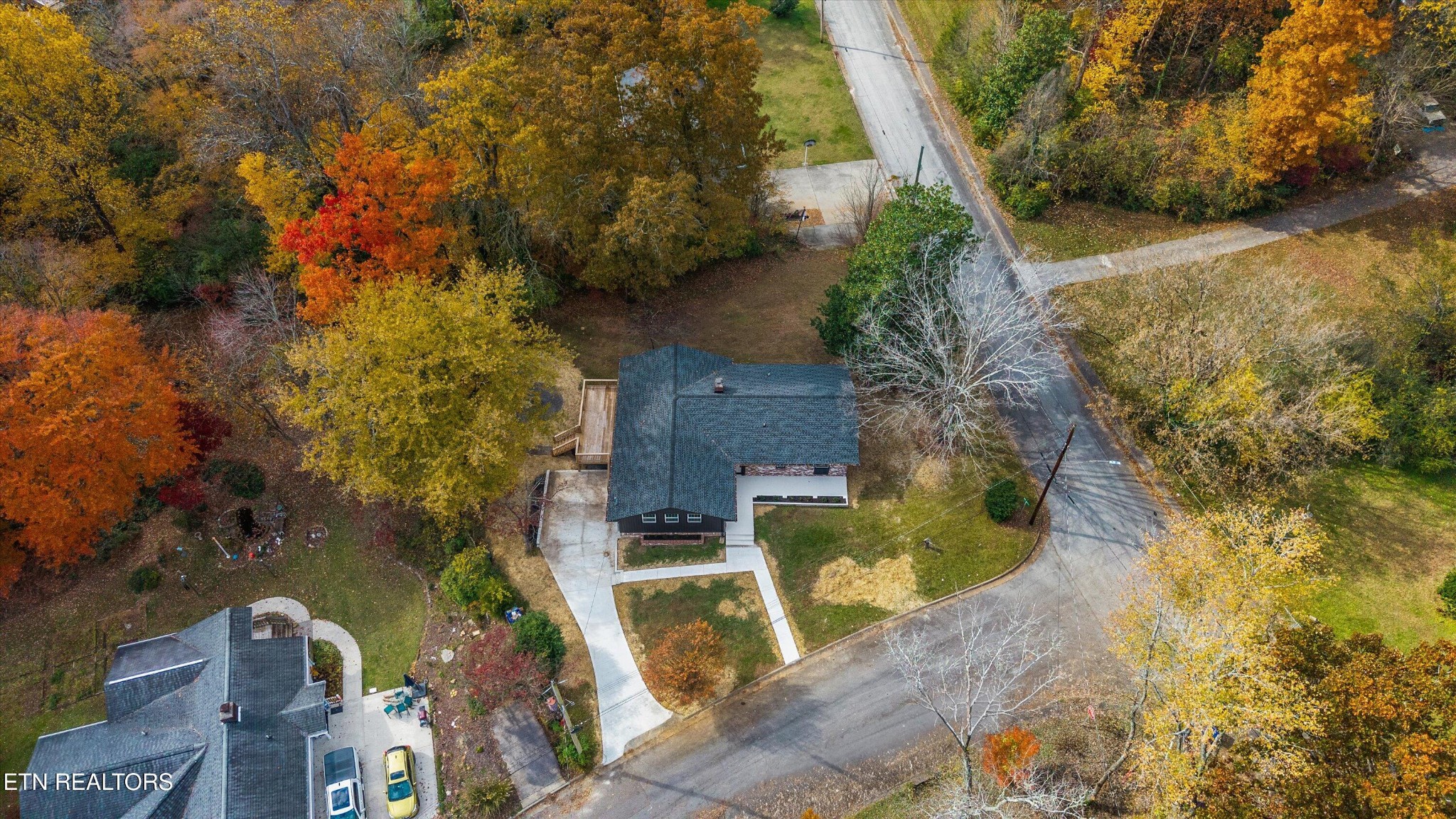 100 Pearl Road Oak Ridge, TN 37830 - Photo 34 of 37 a view of yard along with trees