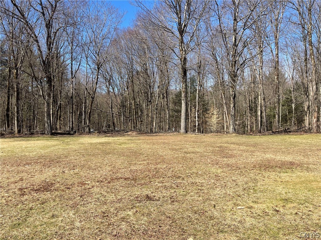 8273 Kimball Road Vienna, NY 13308 - Photo 6 of 47