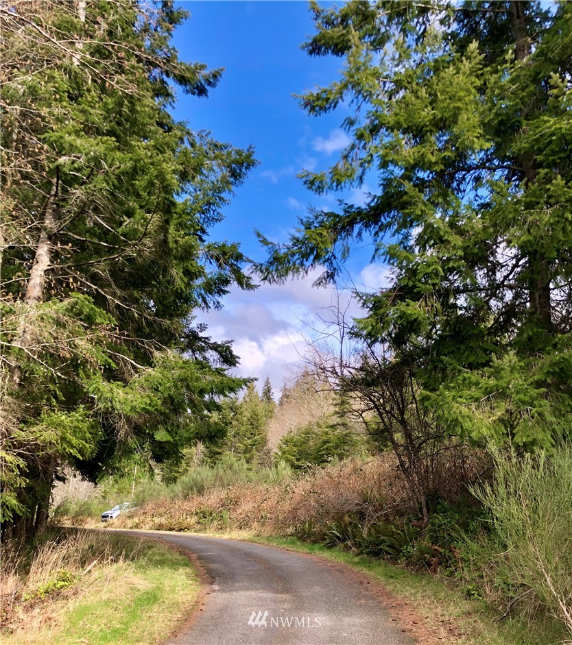 164 Moa Hill Road Port Townsend, WA 98368 - Photo 2 of 5 Gallery Image 2