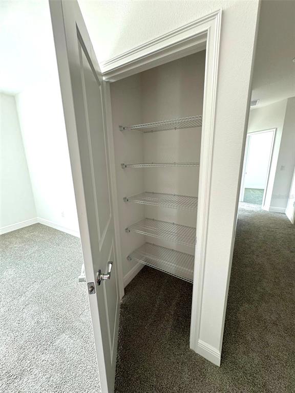 4826 Prairie Preserve Run St. Cloud, FL 34772 - Photo 28 of 44 a view of closet