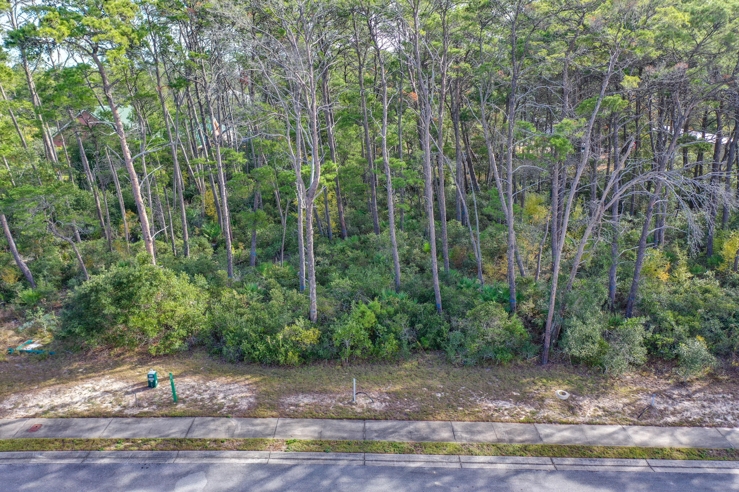 Lot 5 Pine Cone Trail Inlet Beach Inlet Beach, FL 32461 - Photo 8 of 8 a view of a yard with plants and trees
