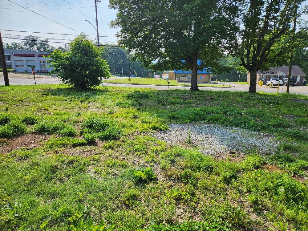 602 South 1st Street Pulaski, TN 38478 - Photo 2 of 4 a big yard with lots of green space and trees