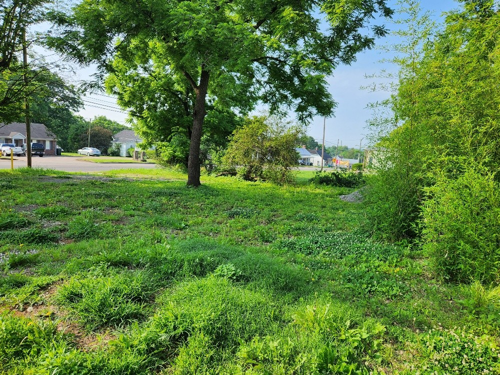 602 South 1st Street Pulaski, TN 38478 - Photo 3 of 4
