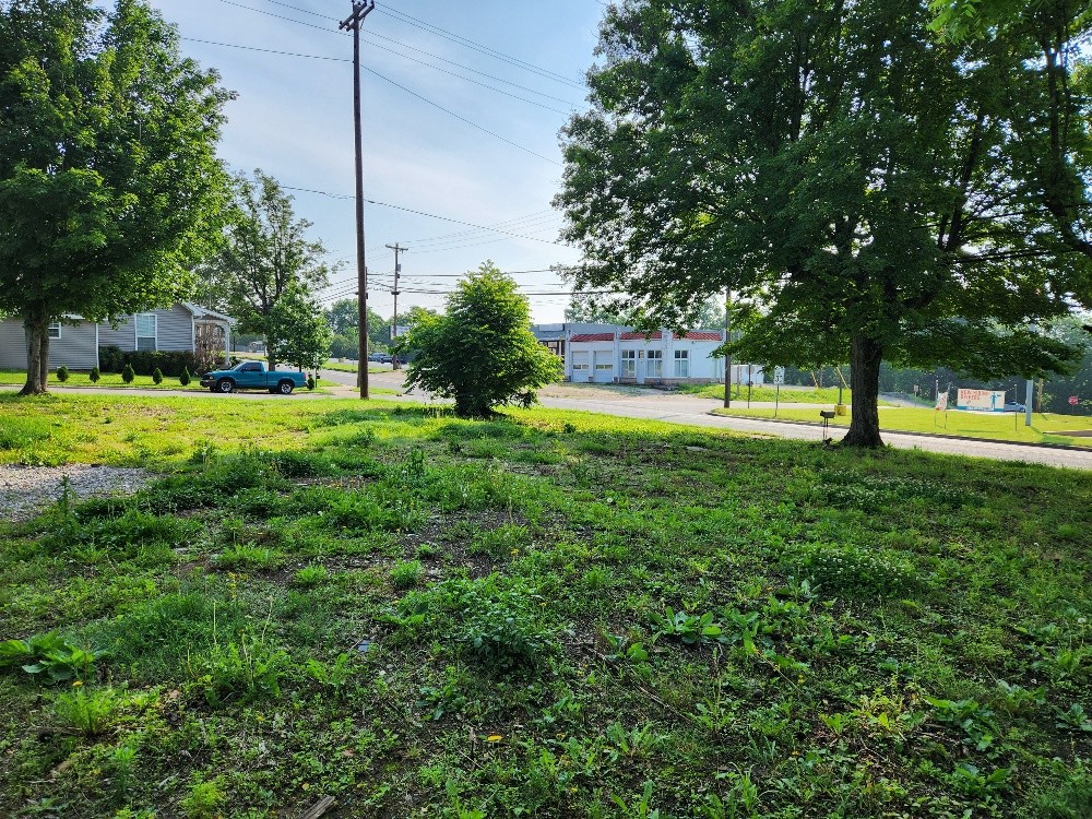 602 South 1st Street Pulaski, TN 38478 - Photo 4 of 4 a view of an outdoor space and yard