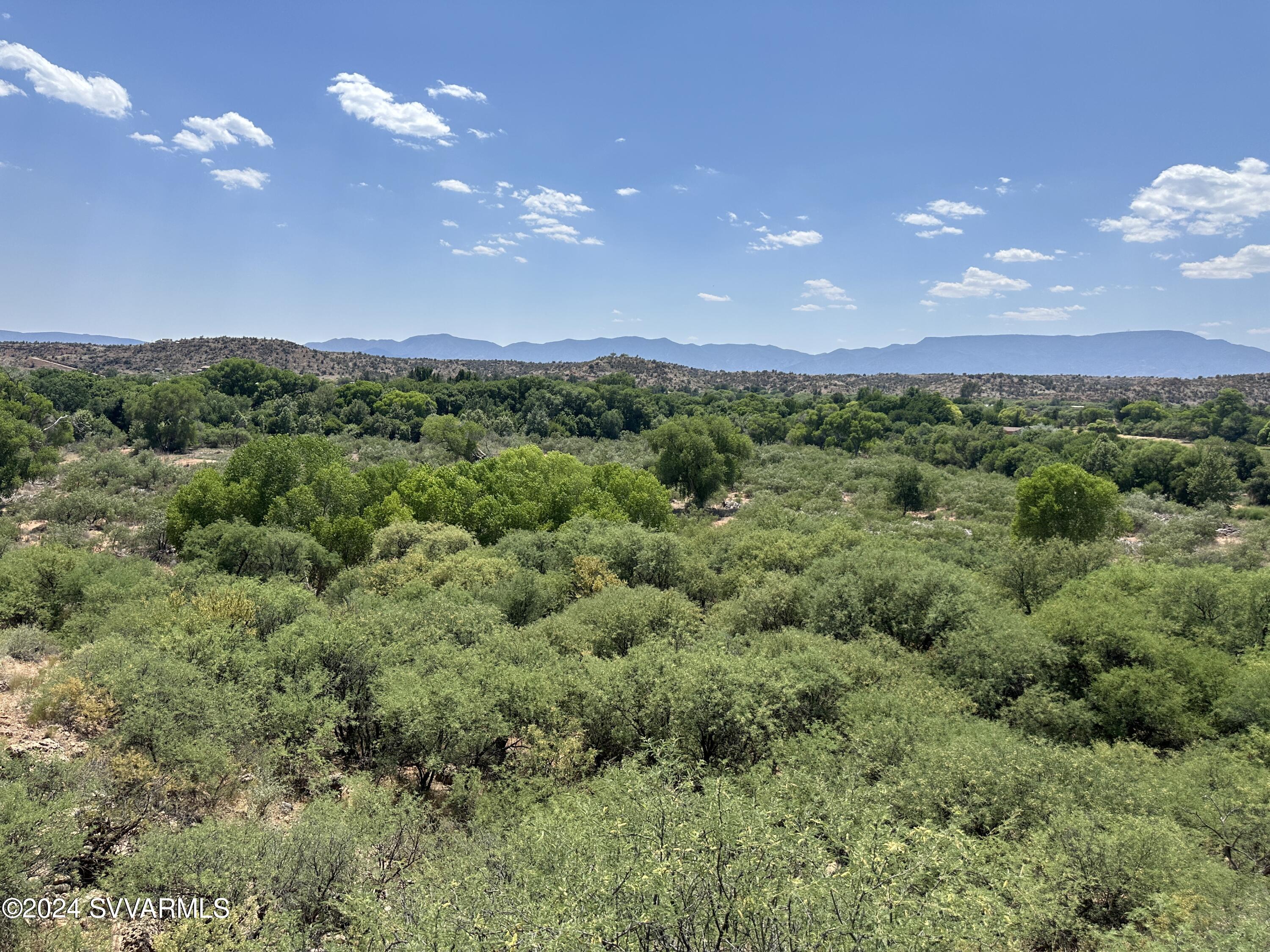 1500 Whatever Way Cornville, AZ 86325 - Photo 22 of 54 Lush vegetation near the creek