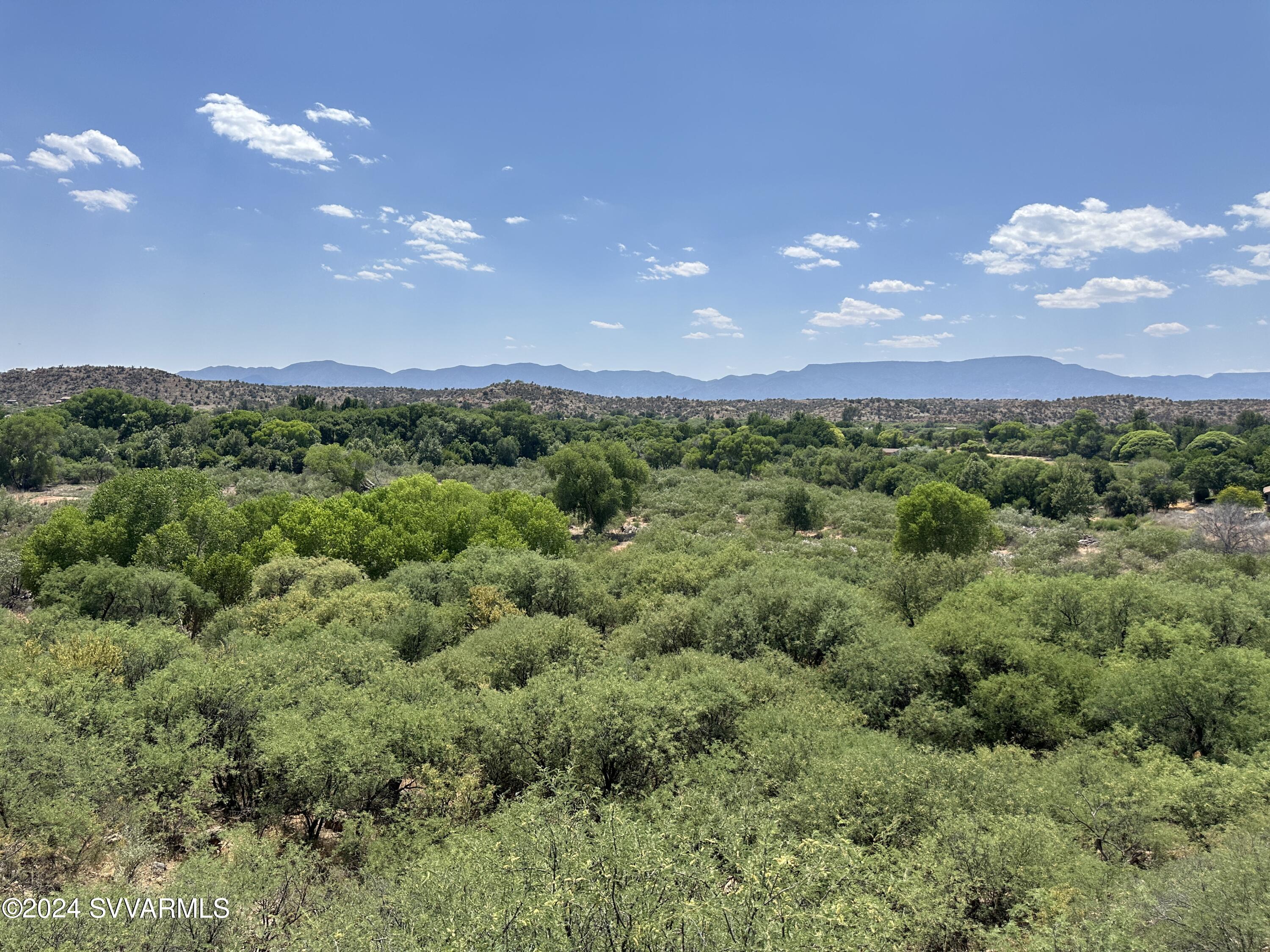 1500 Whatever Way Cornville, AZ 86325 - Photo 23 of 54 Lush vegetation near the creek