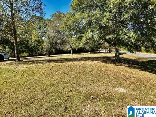 2715 County Road 18 Clanton, AL 35045 - Photo 6 of 21