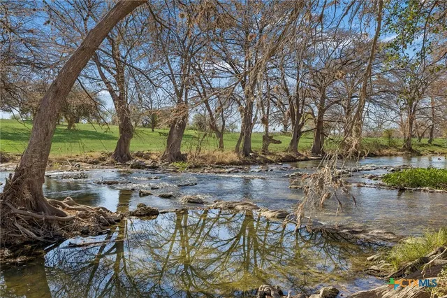 a view of yard covered with trees