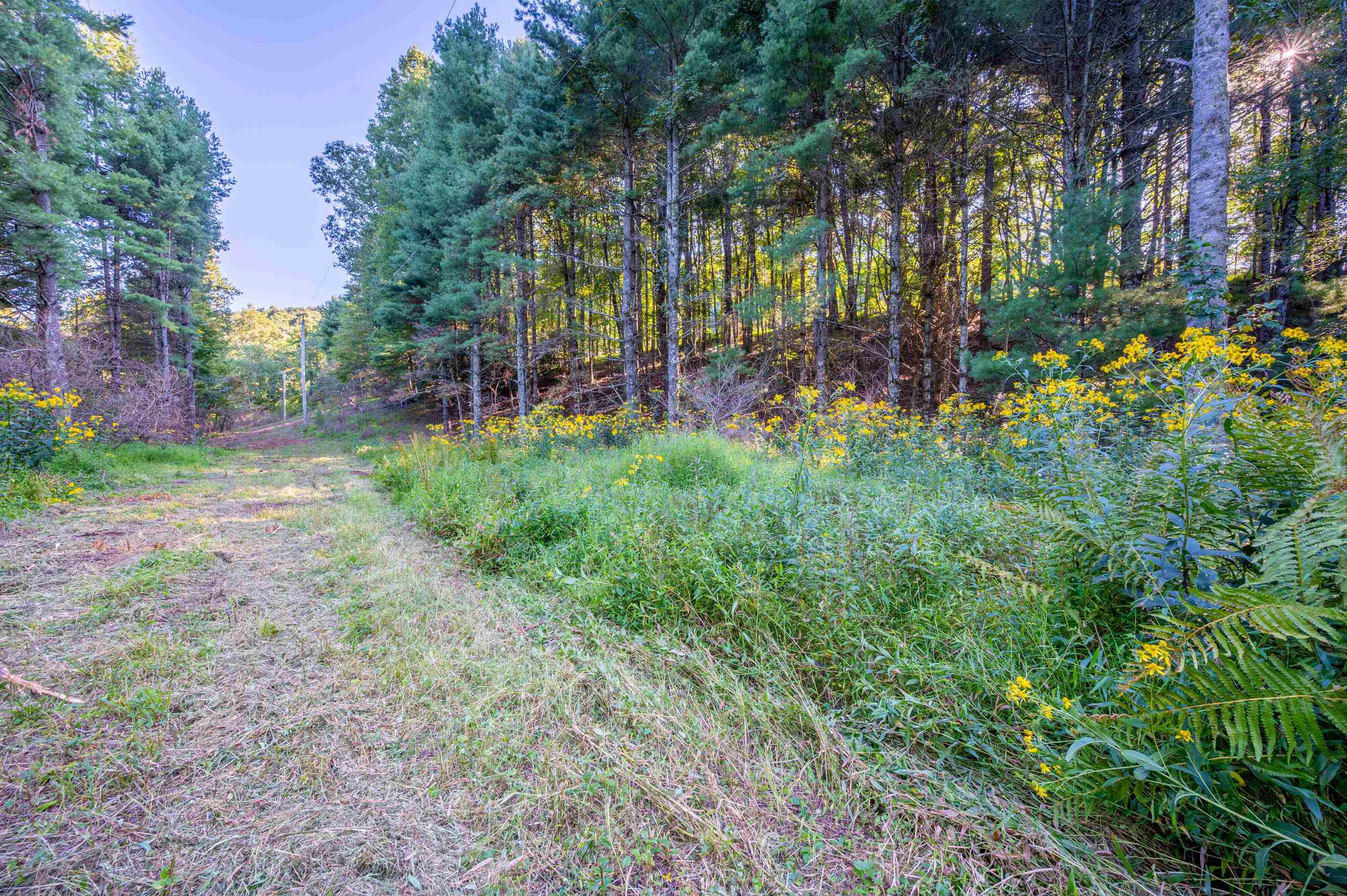 1287 Cox Store Road Southwest Floyd, VA 24091 - Photo 2 of 22 Gallery Image 2