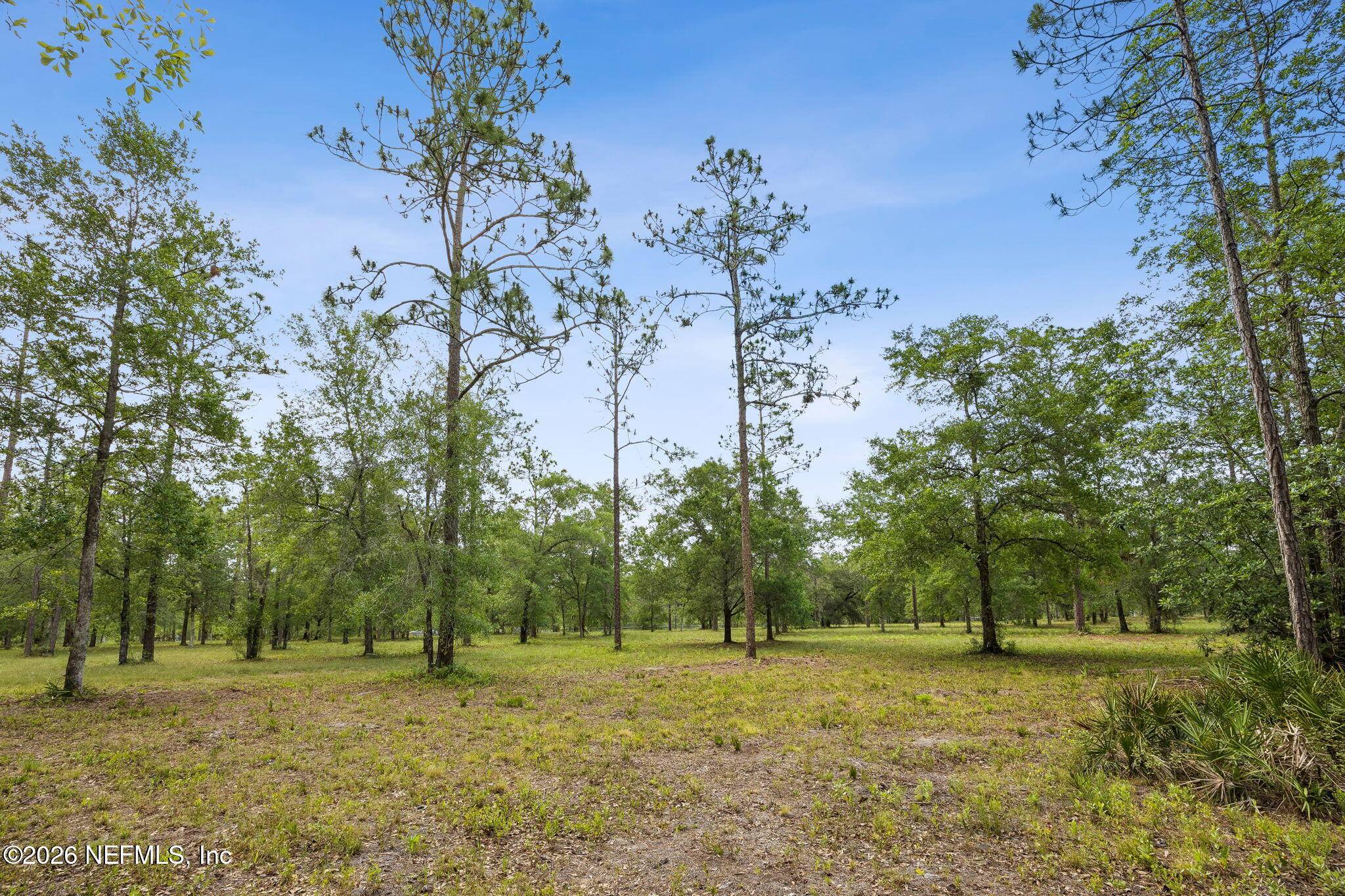 6015 Plantation Court Keystone Heights, FL 32656 - Photo 3 of 16 6-web-or-mls-6015 Plantation Ct-6