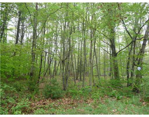 20 Old Post Road York, ME 03909 - Photo 5 of 10 Land.