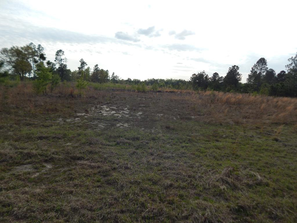 0 Brown Hill Road Jackson, SC 29831 - Photo 1 of 3
