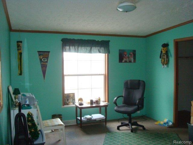 3530 Glover Road Almont, MI 48003 - Photo 10 of 15 3530 Glover 009
