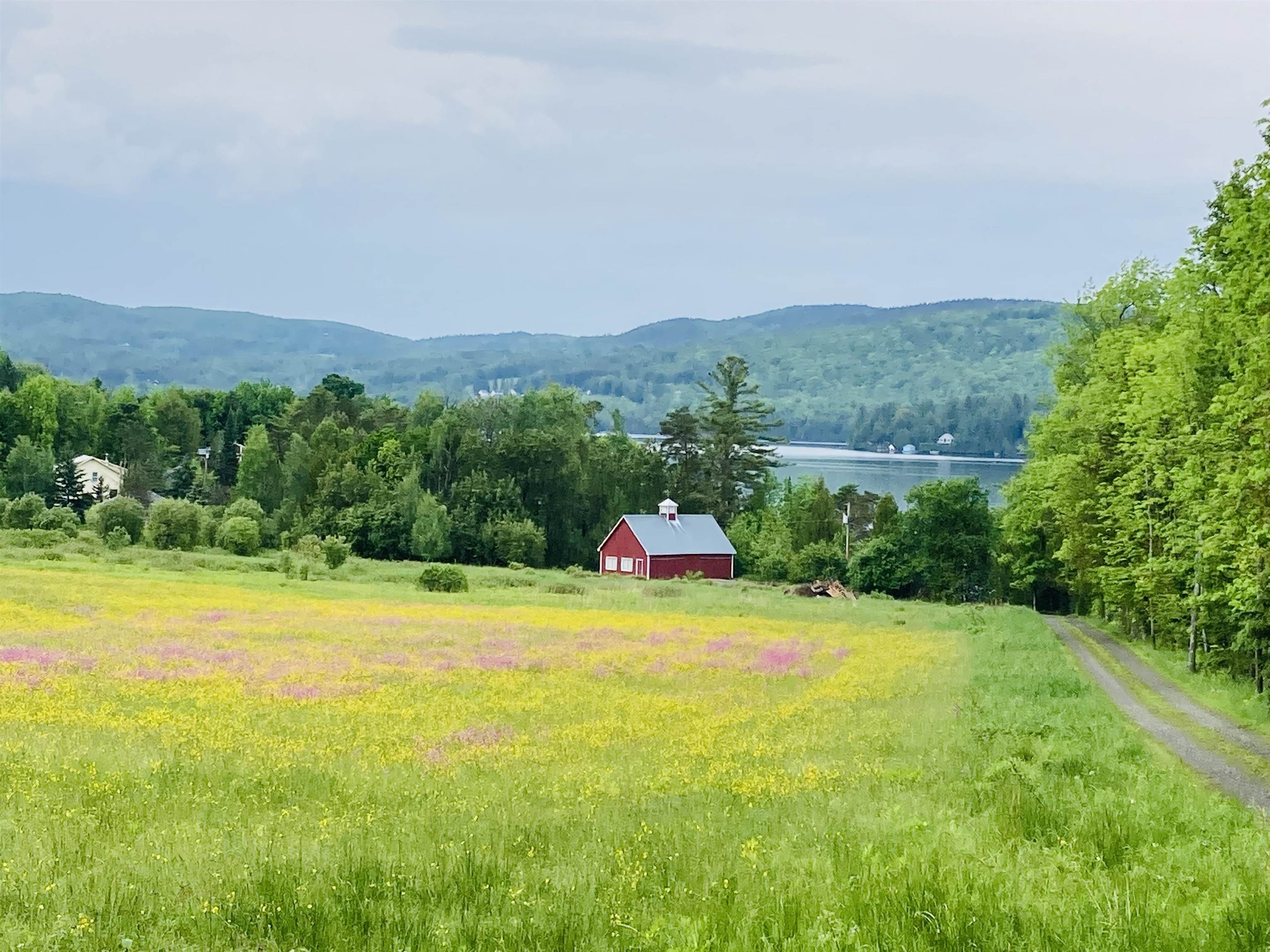 699 Lake Shore Road Greensboro, VT 05841 - Photo 2 of 8 Gallery Image 2