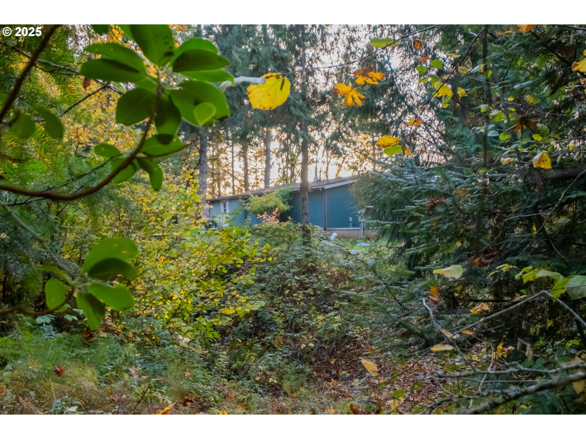 6000 River Road South Salem, OR 97302 - Photo 38 of 48