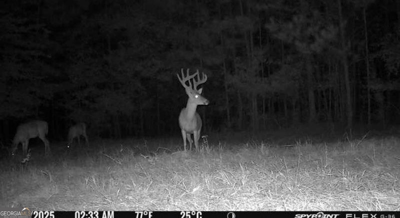 5 Ruckersville Road Elberton, GA 30635 - Photo 8 of 82
