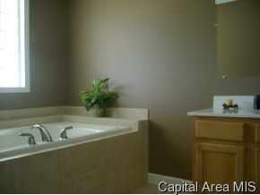1854 MayField Road Chatham, IL 62629 - Photo 4 of 10 Gallery Image 4