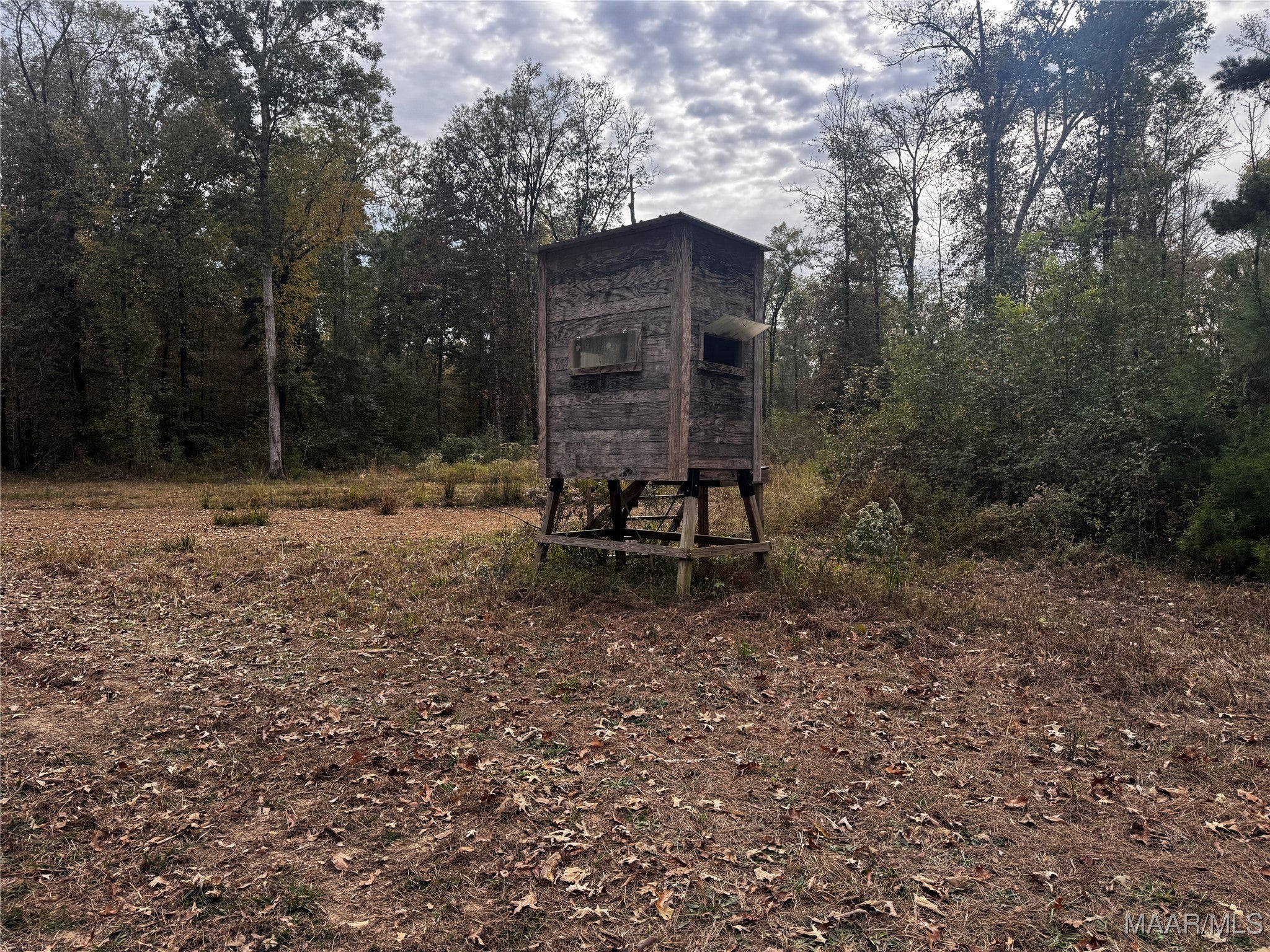0 Coon Hop Road Hardaway, AL 36039 - Photo 45 of 67 Gallery Image 45