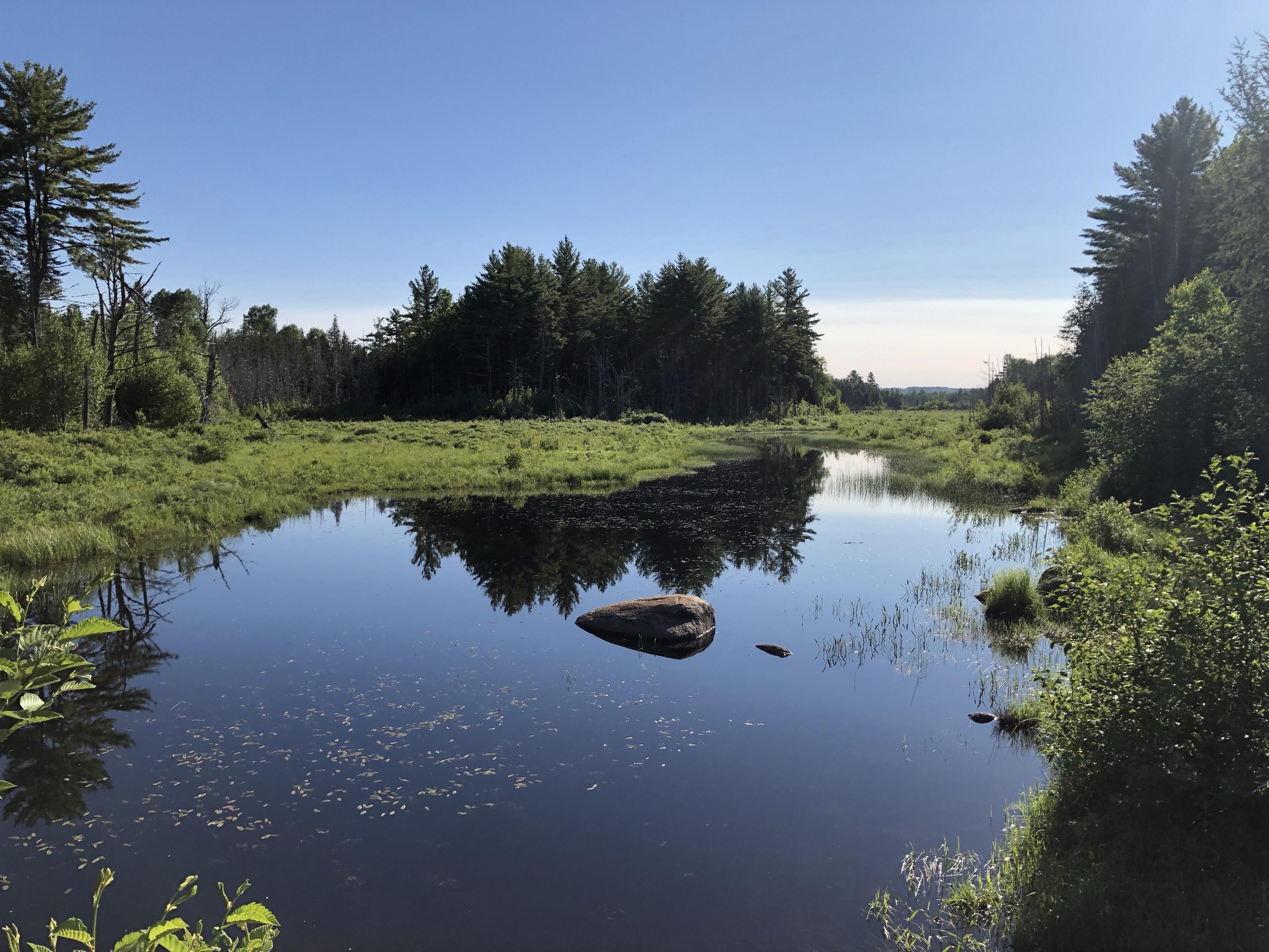 415 Old Winn Road Springfield, ME 04487 - Photo 52 of 53 IMG_2293