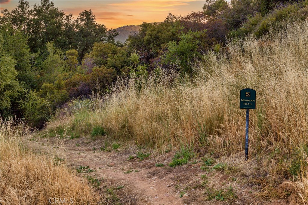 18 Morgan Road Bell Canyon, CA 91307 - Photo 37 of 39