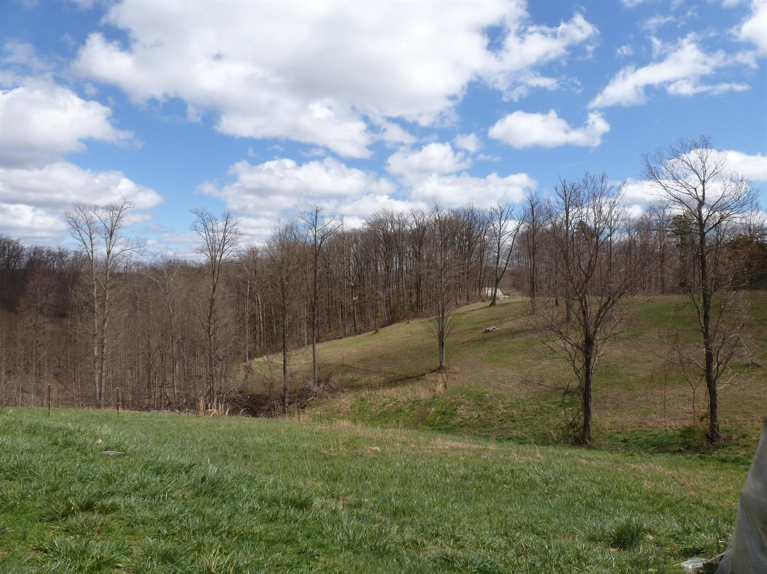 3821 Amos Ridge Road Frenchburg, KY 40322 - Photo 64 of 88 Photo 64