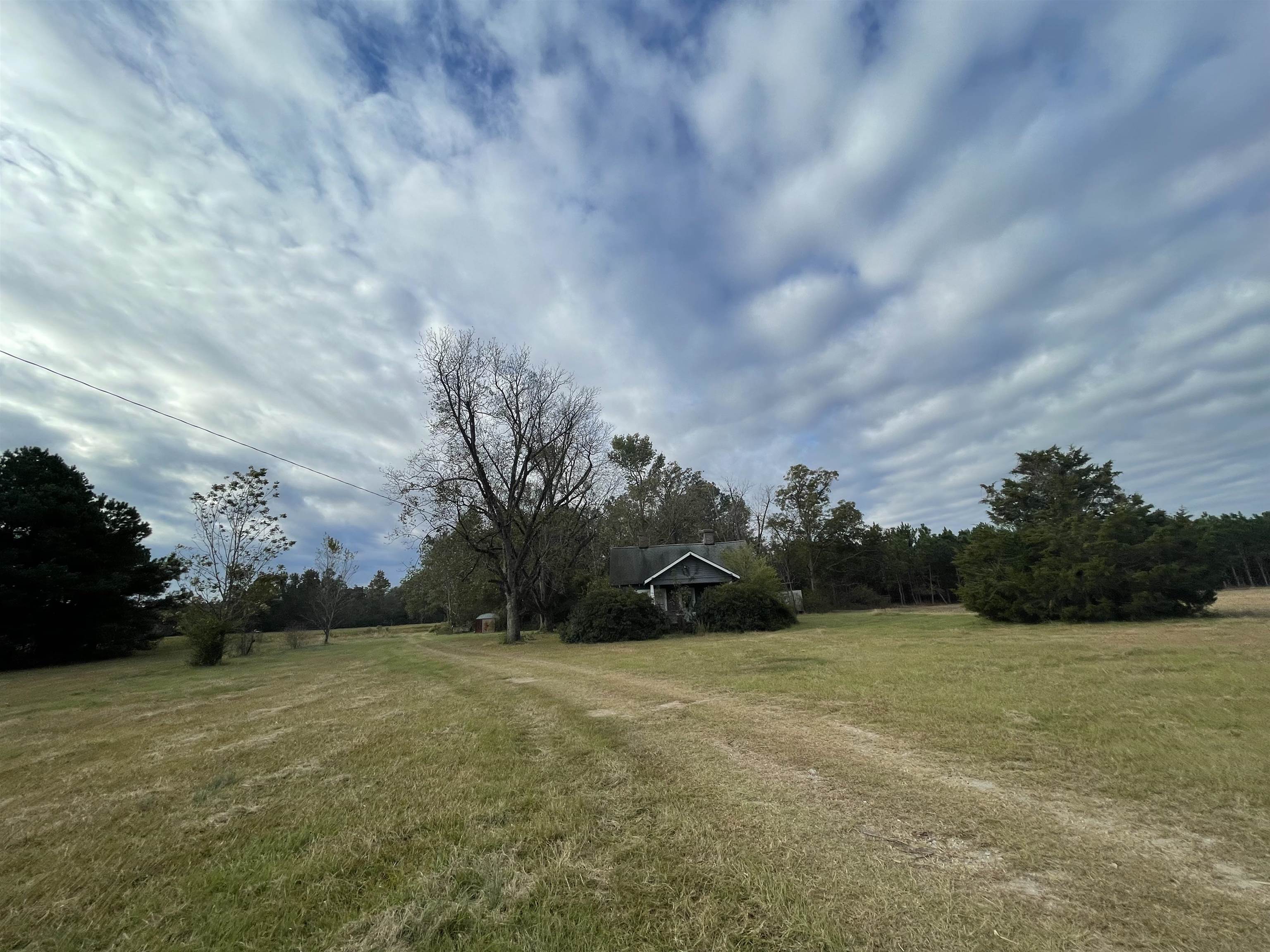 755 Race Track Road Nichols, SC 29581 - Photo 20 of 20 Gallery Image 20