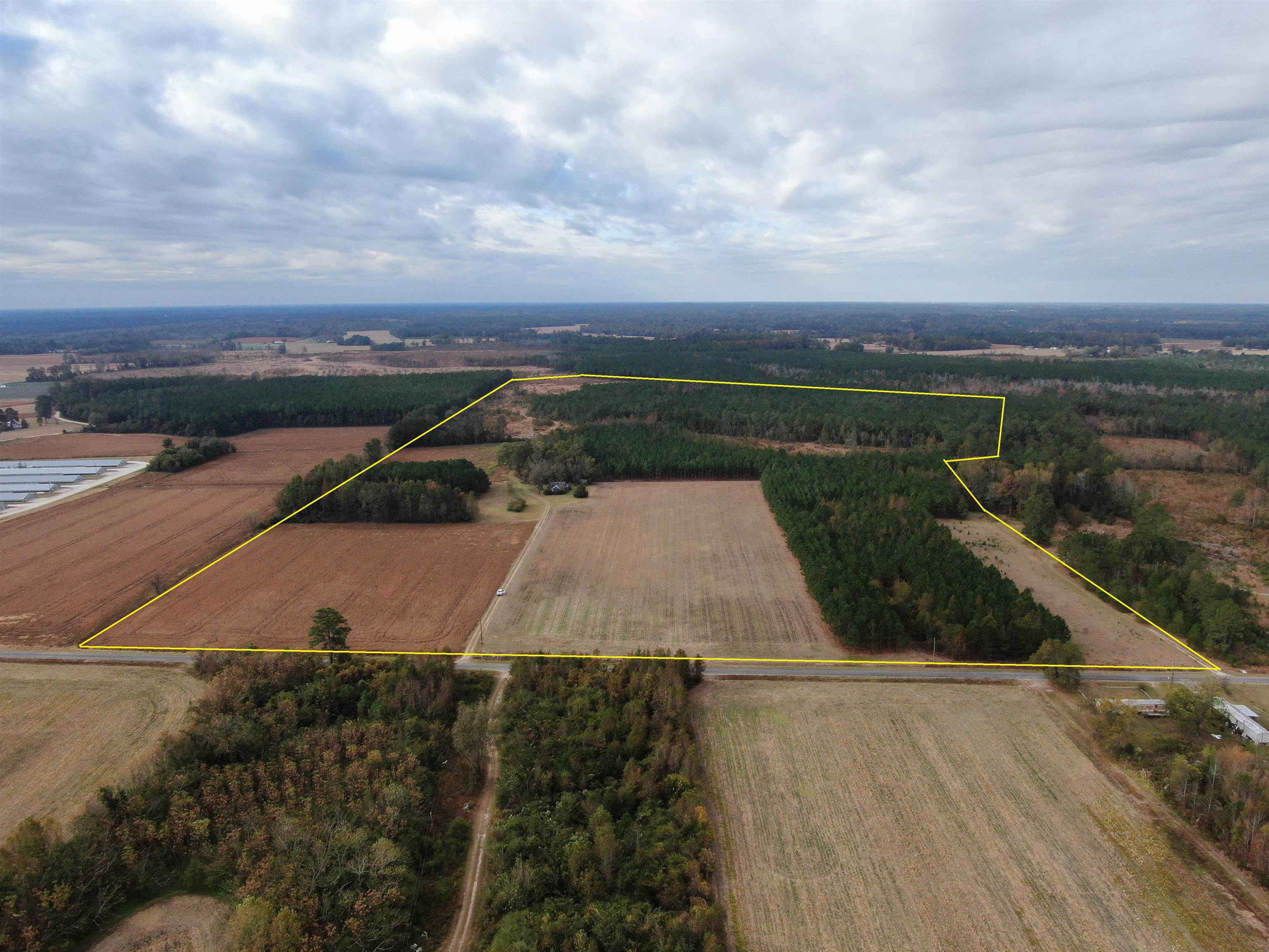 755 Race Track Road Nichols, SC 29581 - Photo 2 of 20 Gallery Image 2