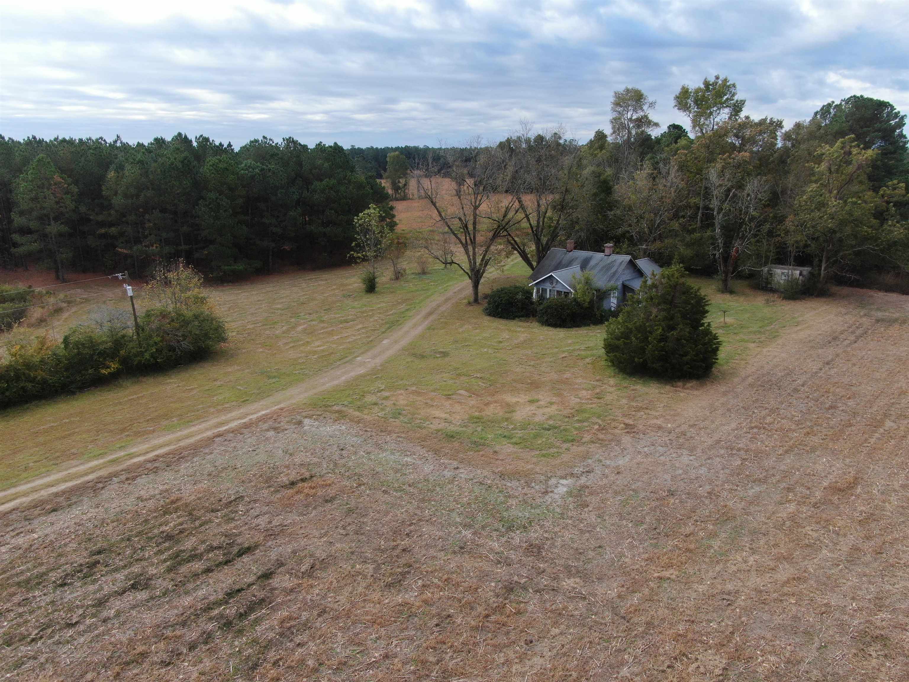 755 Race Track Road Nichols, SC 29581 - Photo 3 of 20 Gallery Image 3