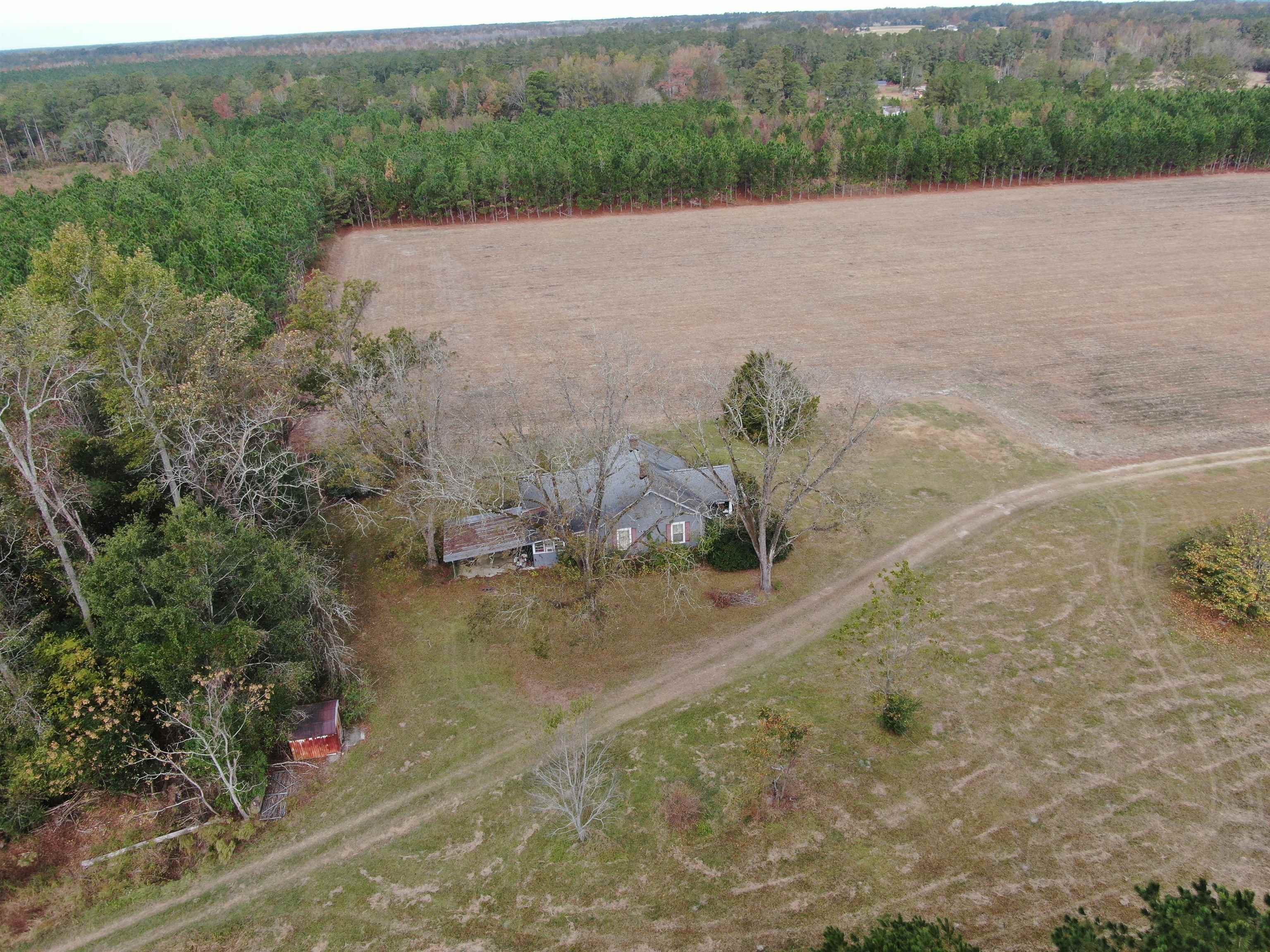 755 Race Track Road Nichols, SC 29581 - Photo 5 of 20 Gallery Image 5