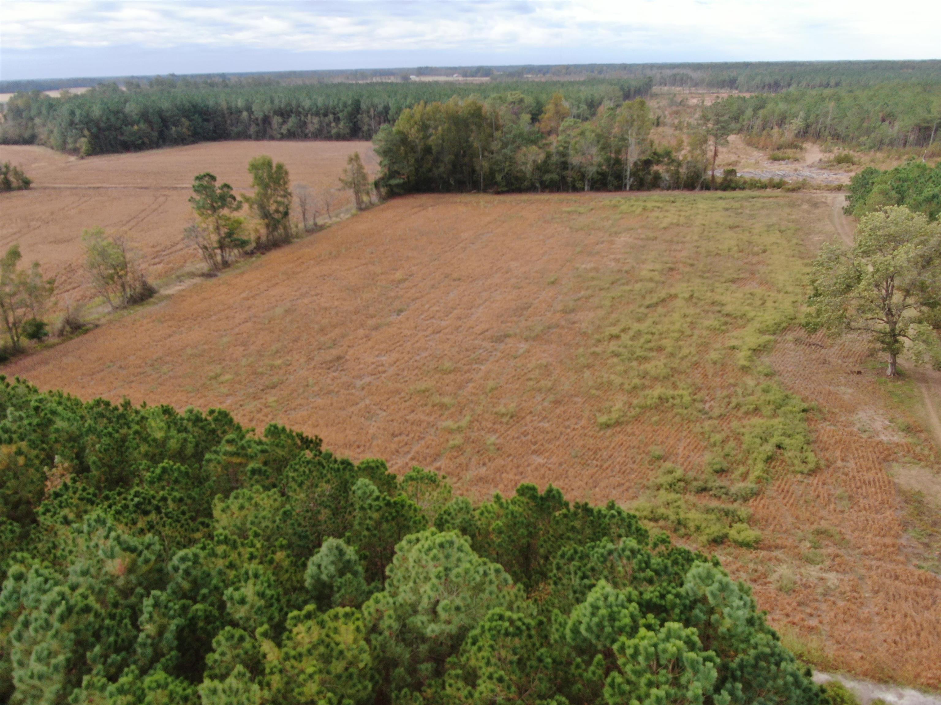 755 Race Track Road Nichols, SC 29581 - Photo 6 of 20 Gallery Image 6