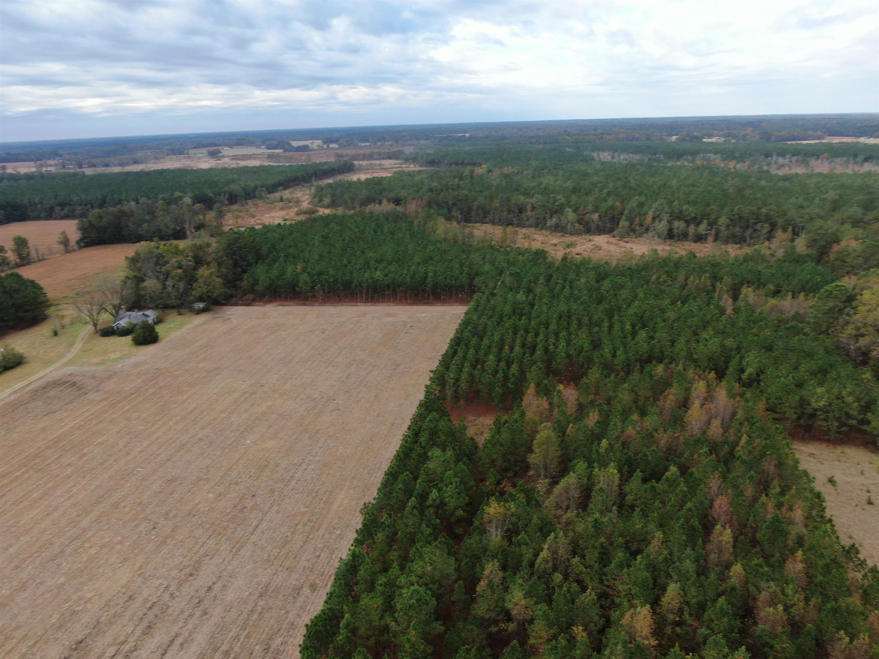 755 Race Track Road Nichols, SC 29581 - Photo 10 of 20 Gallery Image 10
