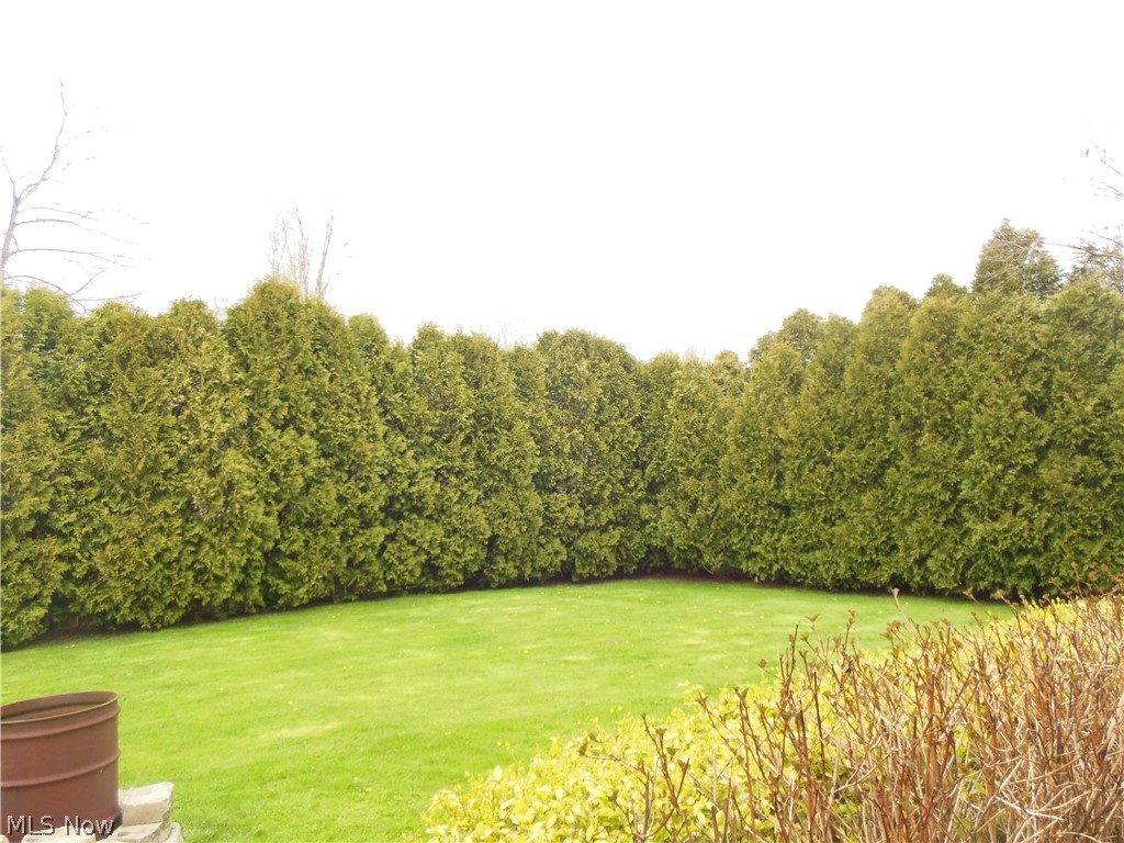 7703 Lake Road East Madison, OH 44057 - Photo 27 of 35 Gallery Image 27
