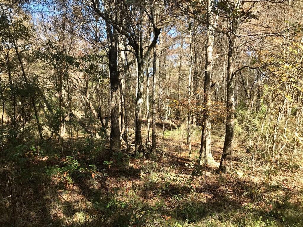 Turner Road Mittie, LA 70654 - Photo 11 of 12