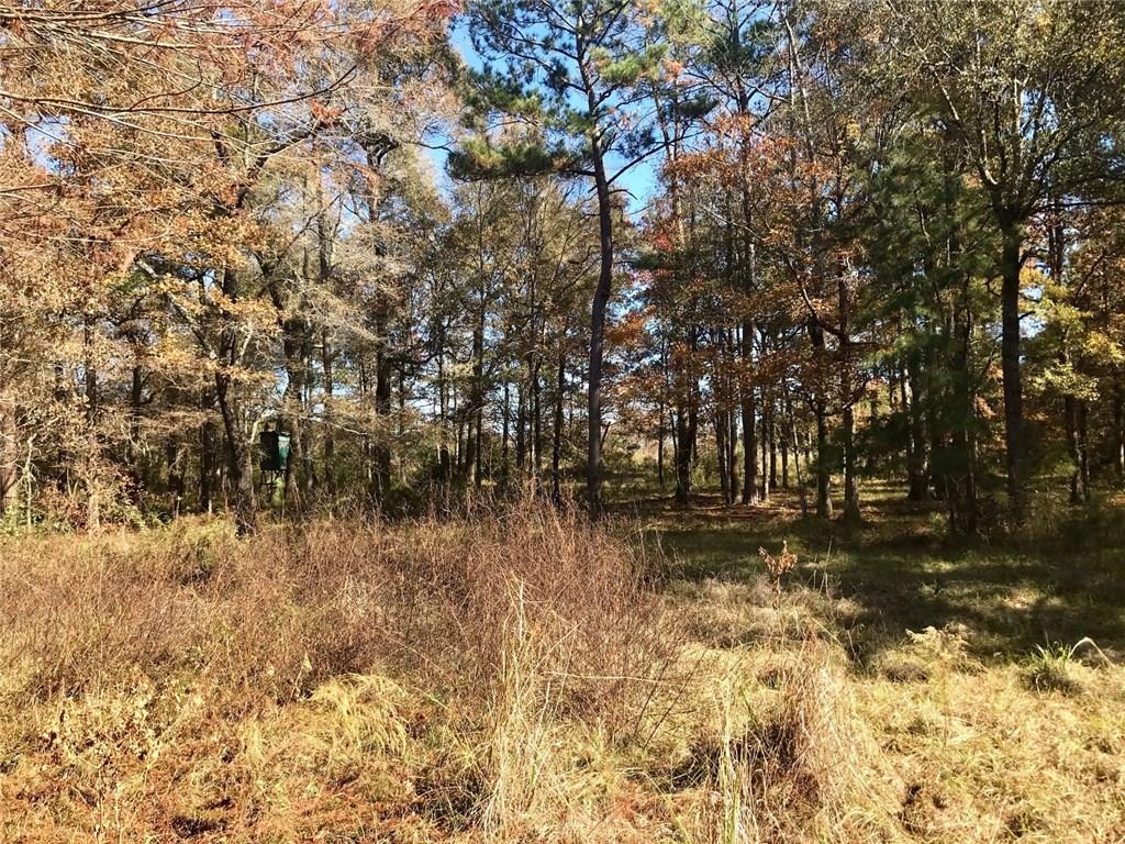 Turner Road Mittie, LA 70654 - Photo 2 of 12