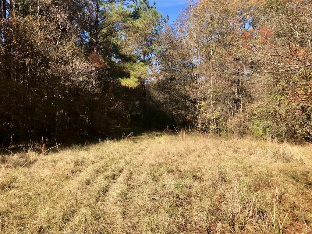 Turner Road Mittie, LA 70654 - Photo 3 of 12