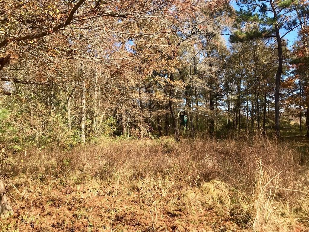 Turner Road Mittie, LA 70654 - Photo 10 of 12