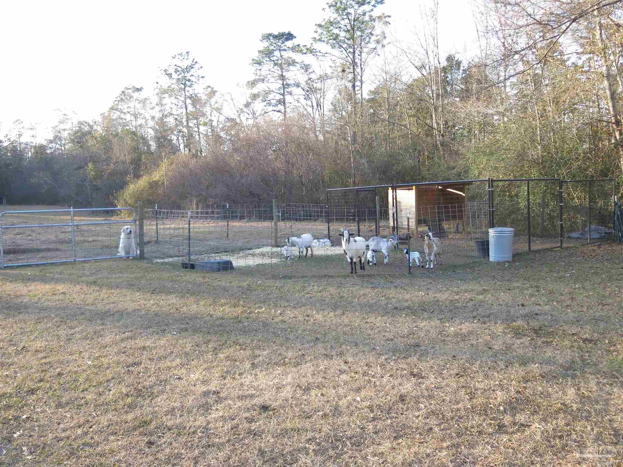 2323 Handy Road Cantonment, FL 32533 - Photo 39 of 45 Gallery Image 39