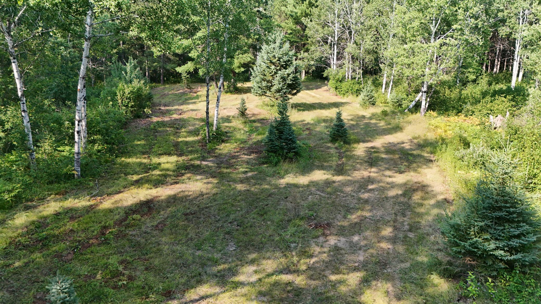 Tbd Fredenburg Road Southwest Solway, MN 56678 - Photo 3 of 20 Gallery Image 3