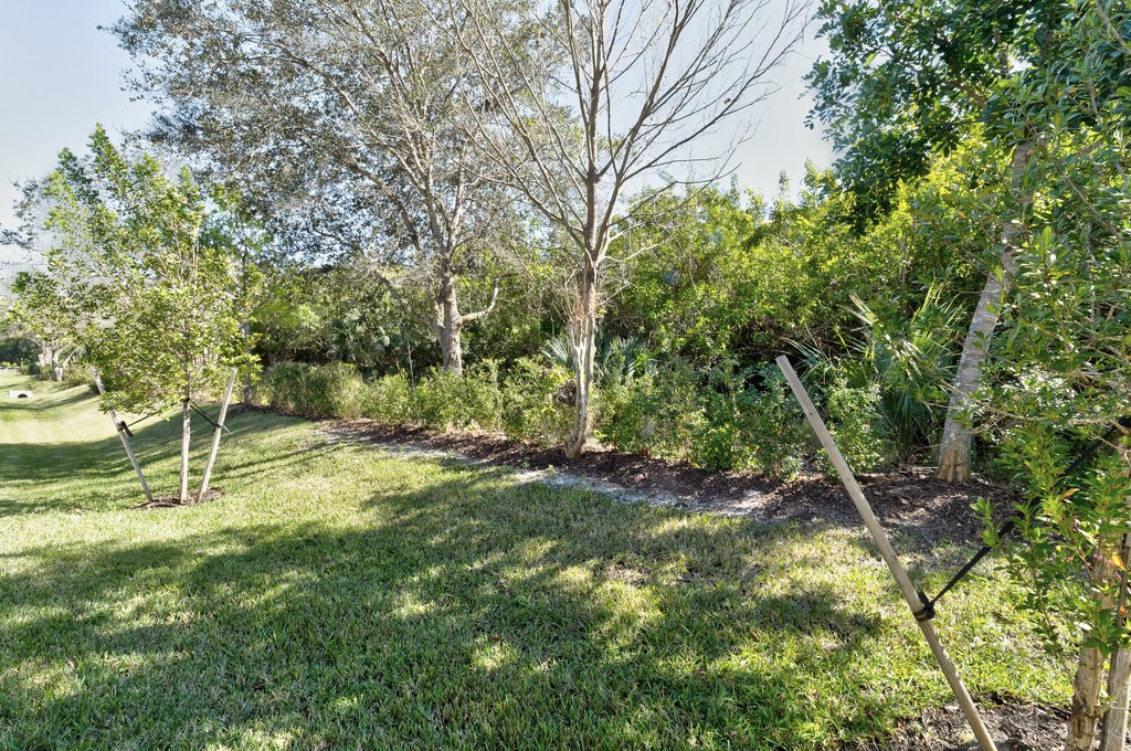 5967 Bella Rosa Lane Vero Beach, FL 32966 - Photo 23 of 30 a view of a tree in a yard
