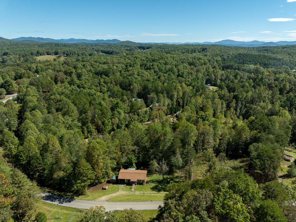 1813 John Smith Road East Blairsville, GA 30512 - Photo 37 of 41 an aerial view of a house with a yard