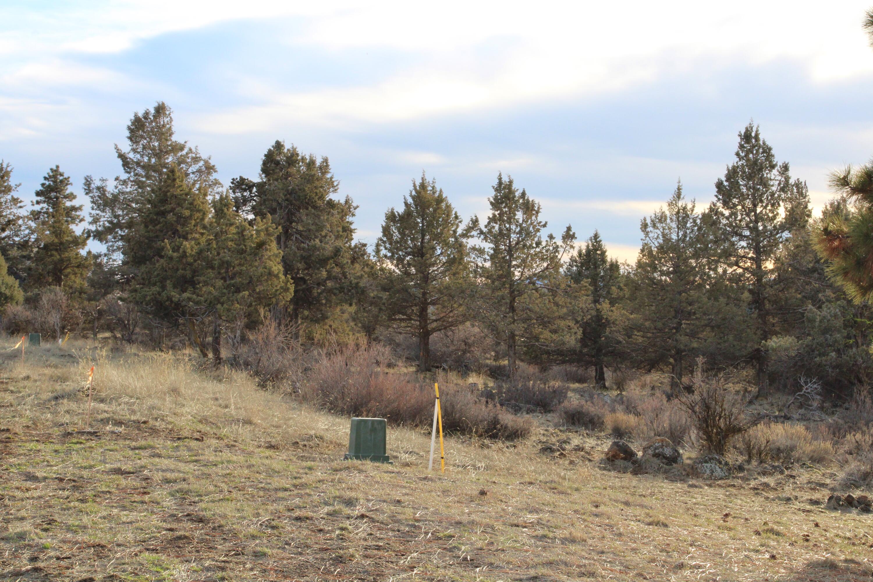 940 Bailey Mountain Road Klamath Falls, OR 97601 - Photo 11 of 17 940 Bailey Mountain 200
