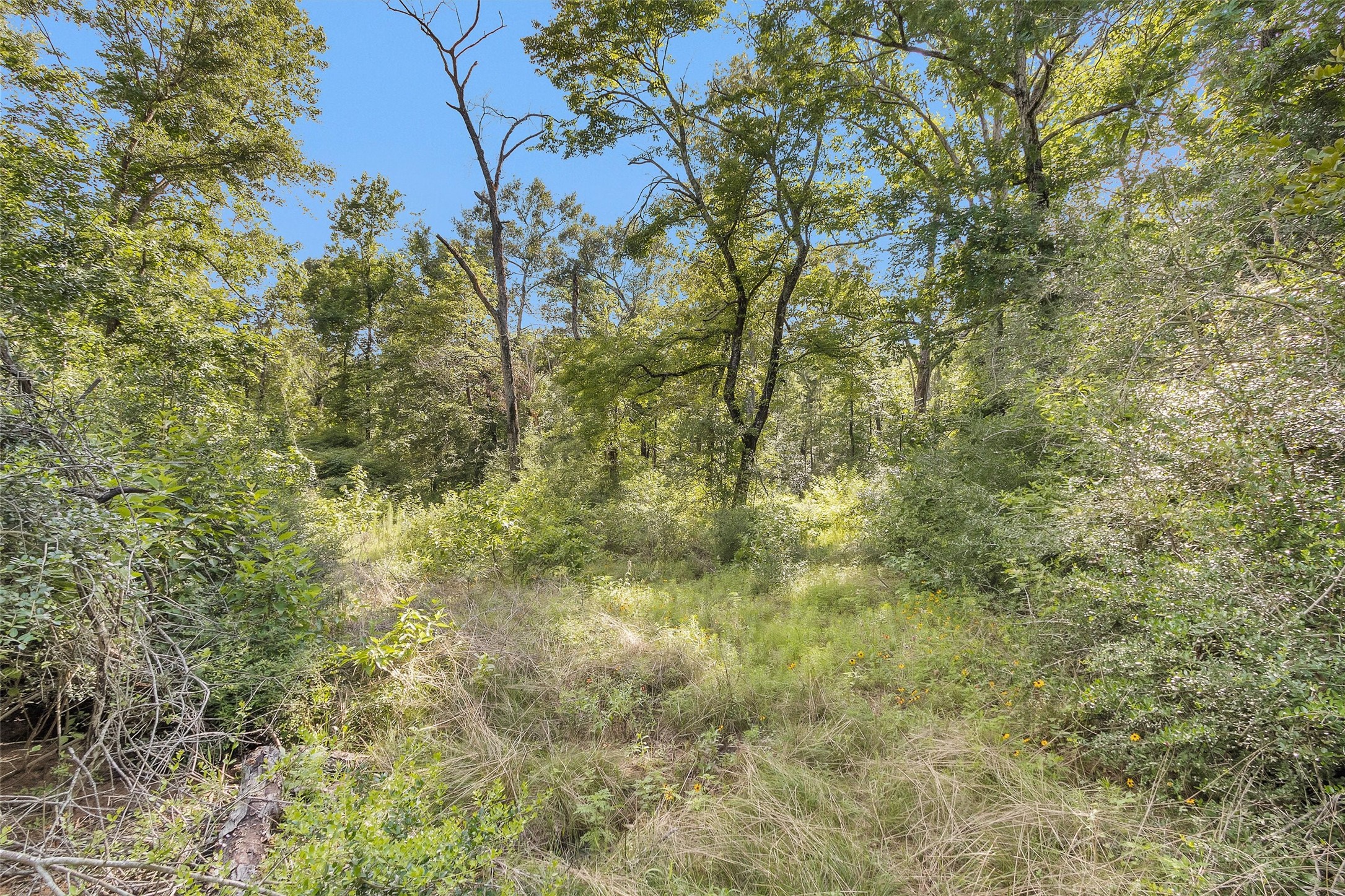 14657 Cedar Ln Loop Willis, TX 77378 - Photo 27 of 33