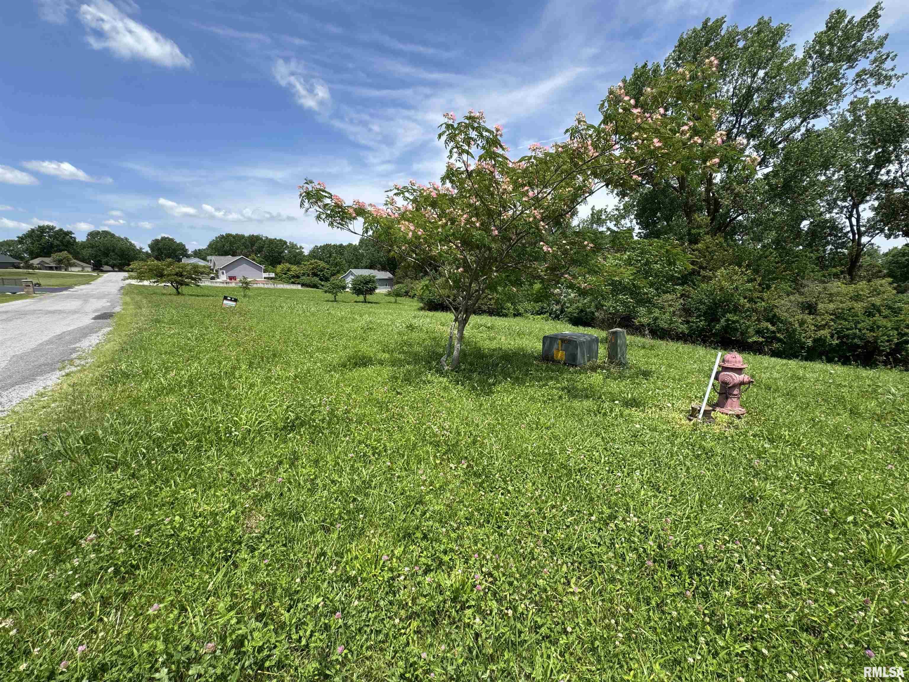 0 Yellow Brick Road Du Quoin, IL 62832 - Photo 3 of 13