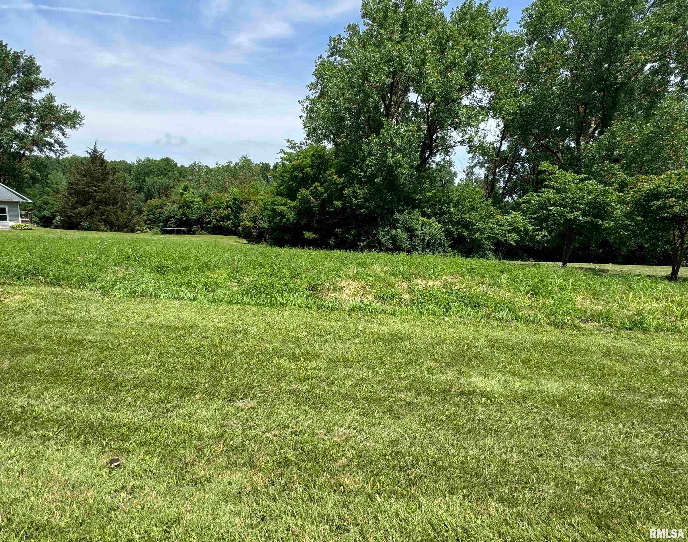 0 Yellow Brick Road Du Quoin, IL 62832 - Photo 4 of 13