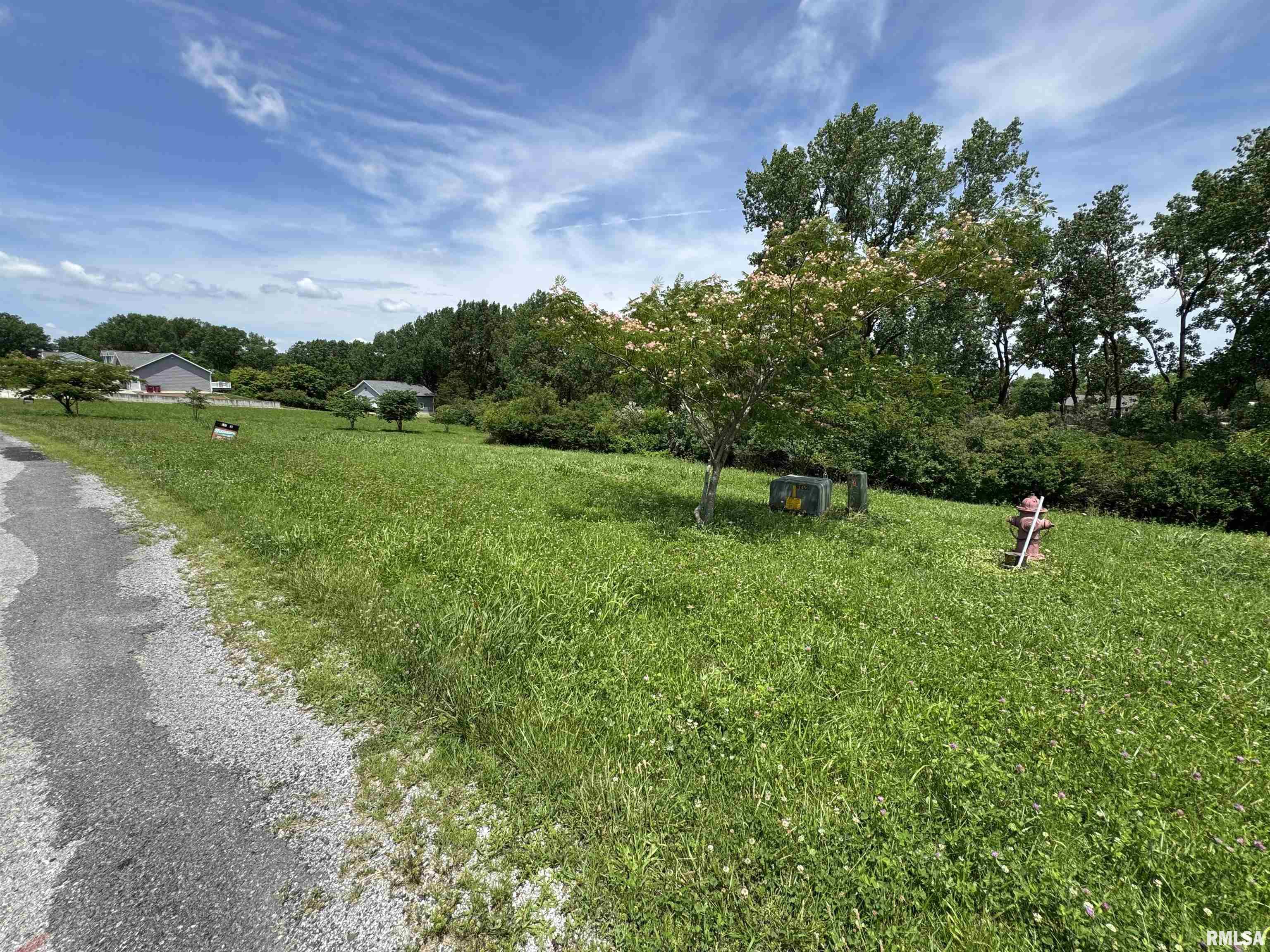 0 Yellow Brick Road Du Quoin, IL 62832 - Photo 5 of 13