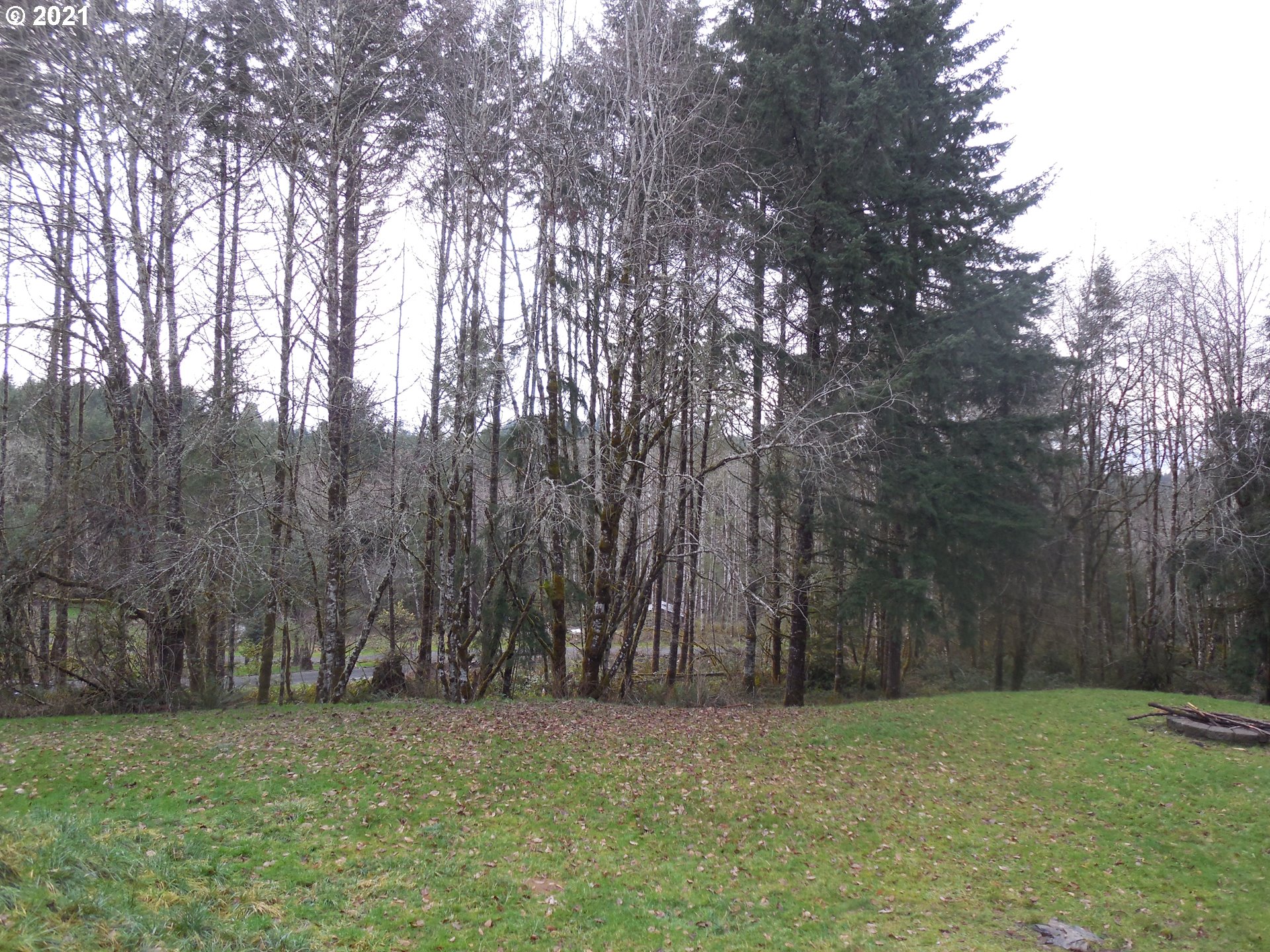 334 Rutherford Lane Castle Rock, WA 98611 - Photo 27 of 31 Gallery Image 27