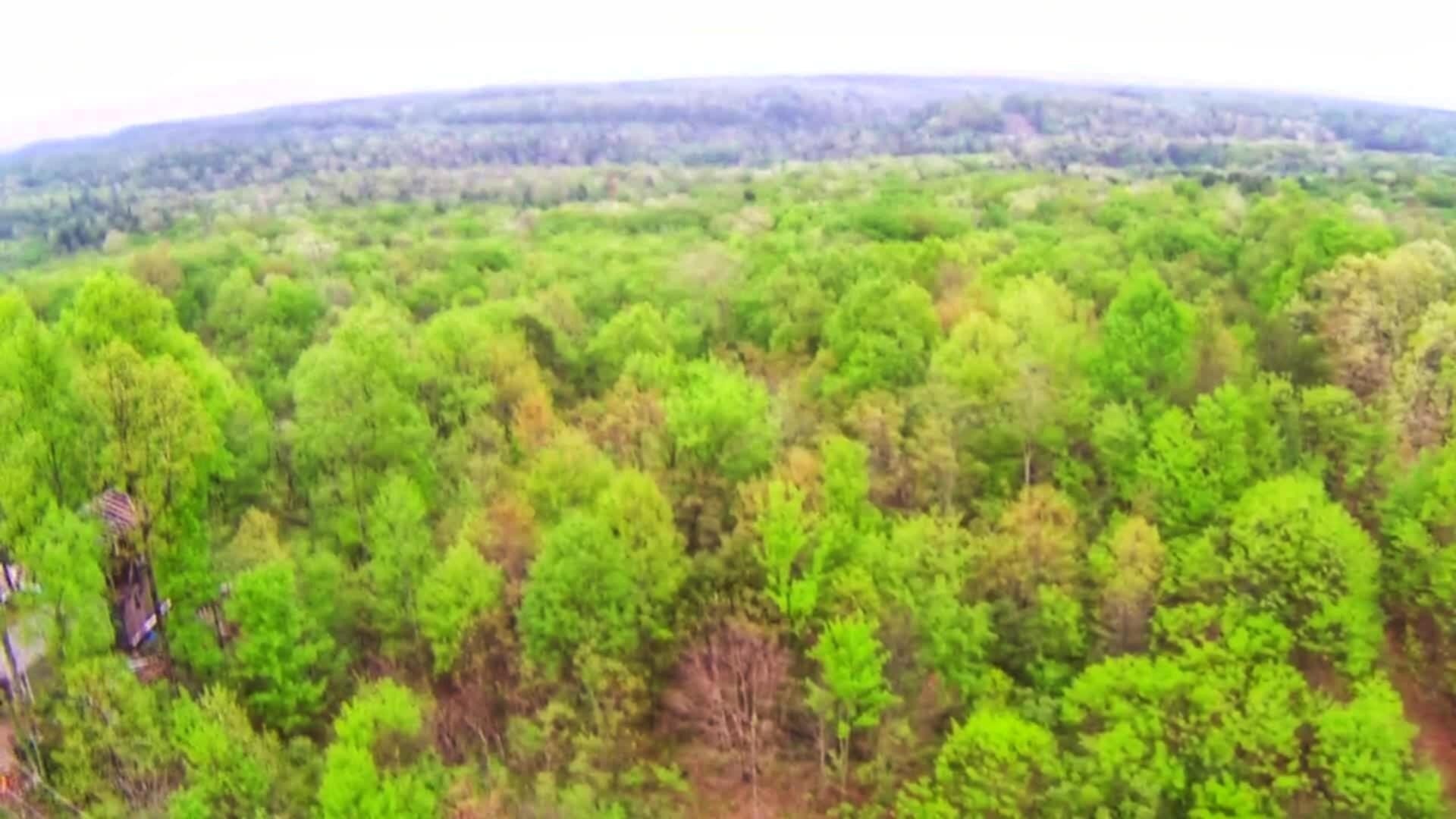 541 Raeanne Drive Spring City, TN 37381 - Photo 7 of 17